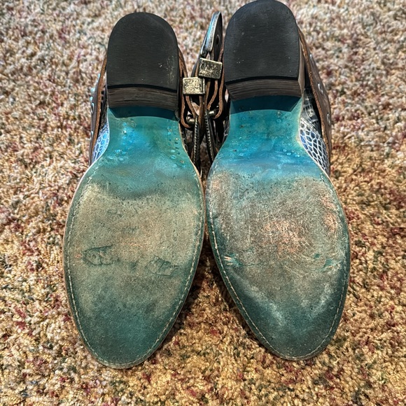 Freebird by Steven Saloon - Picture 4 of 8